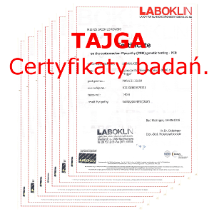 Tajga badania medyczne
